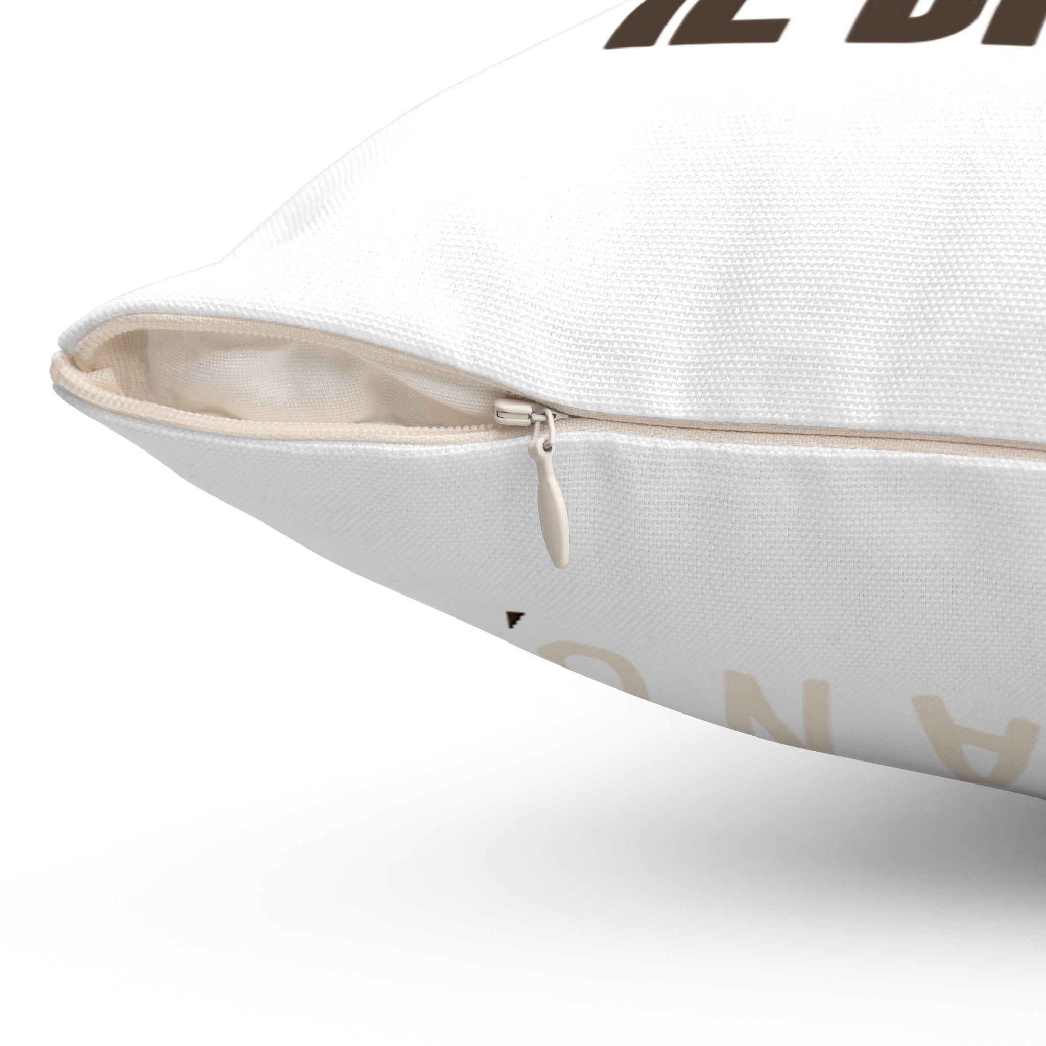 Regalo Originale Casa, Cuscino Divertente con Frase, Arredo Divano, Idea Regalo Procrastinatori, Cuscino Ironico, Italian Quote