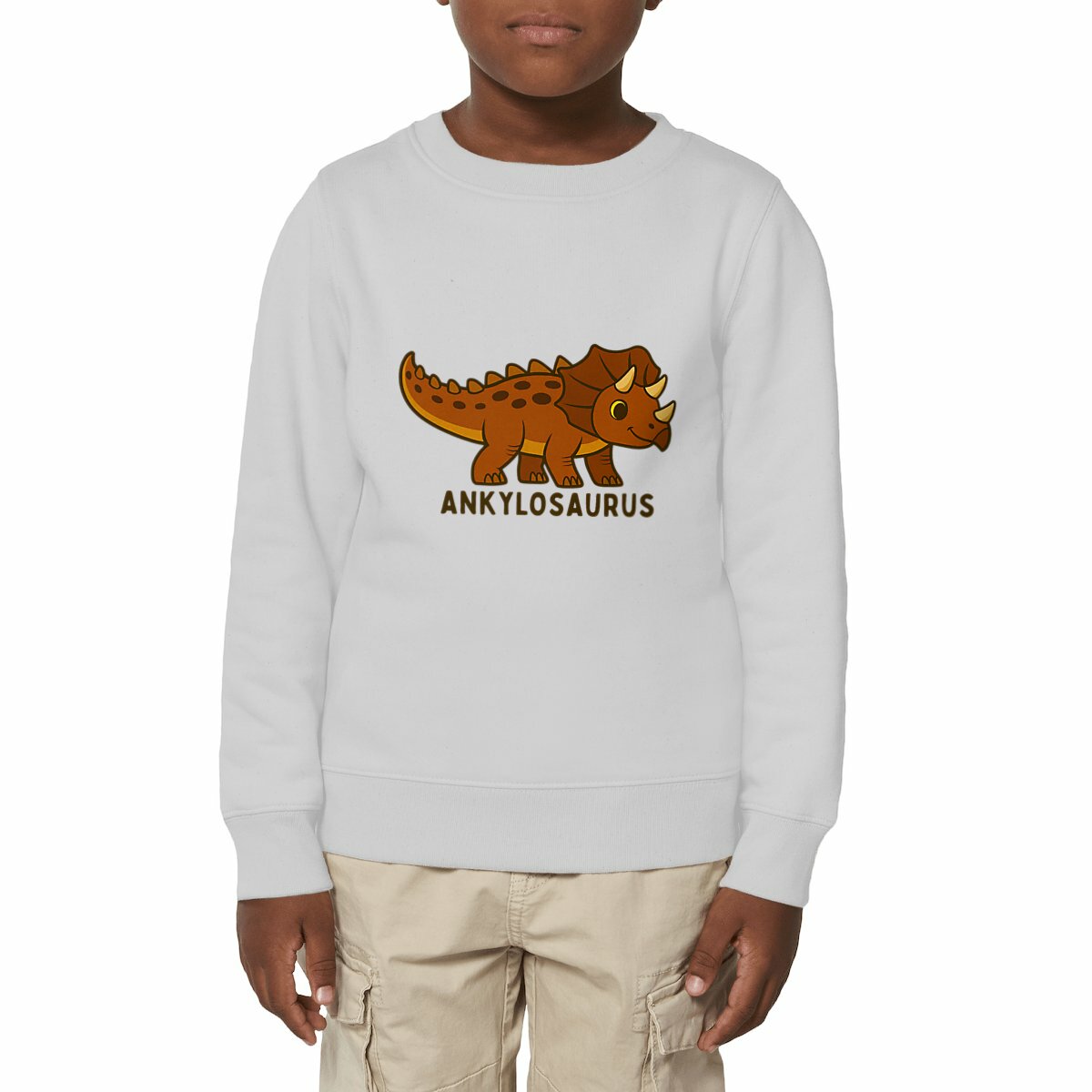 Felpa pesante bambino con dinosauro Ankylosaurus marrone collezione Eco Dino, abbigliamento bambini cotone biologico resistente