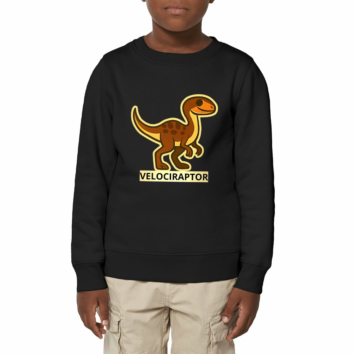 Felpa pesante bambino nera con dinosauro Velociraptor collezione Eco Dino, abbigliamento bambini cotone biologico caldo.